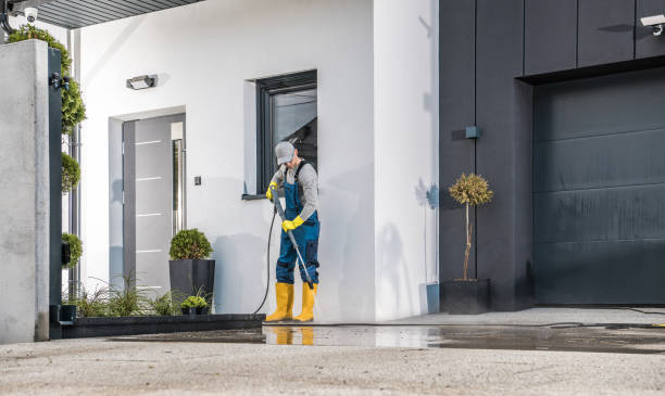 Best Roof Washing  in Matheny, CA